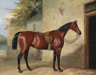 Saddled Brown Horse by William Barrand